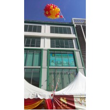Netting balloon bunch as landmark